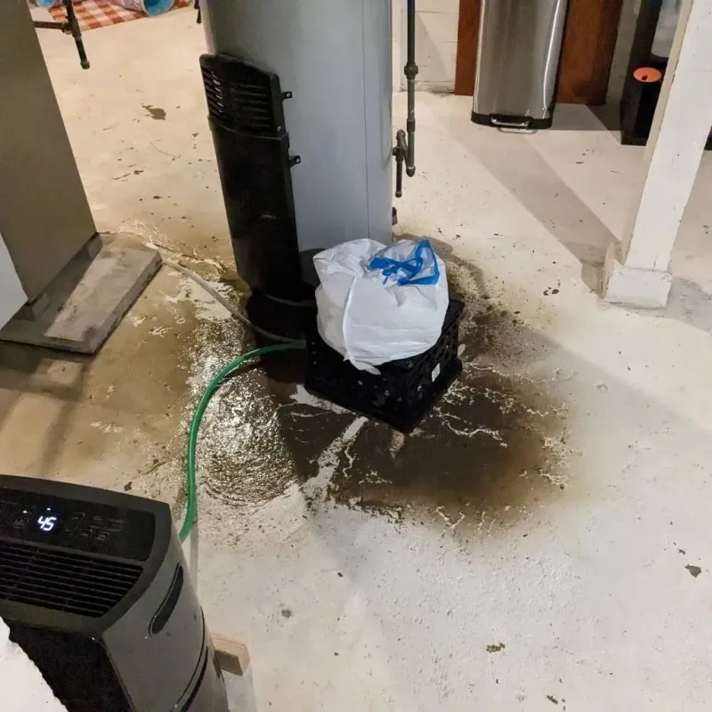 Sewage Backup Cleanup Service in Marbleton, WY